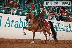 Proof Number usn_05_18654