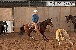 Proof Number usn_05_24482