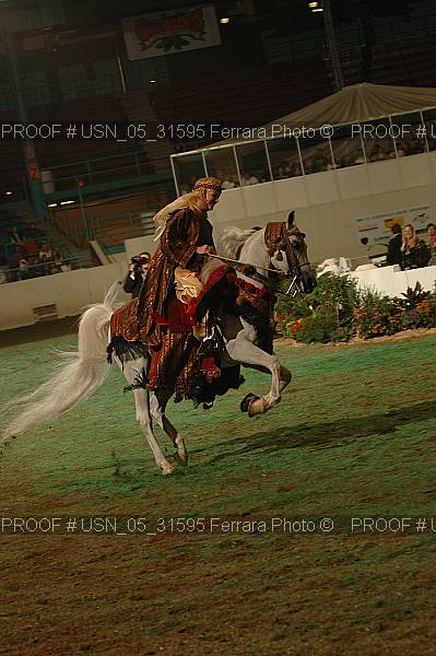 Proof Number usn_05_31595