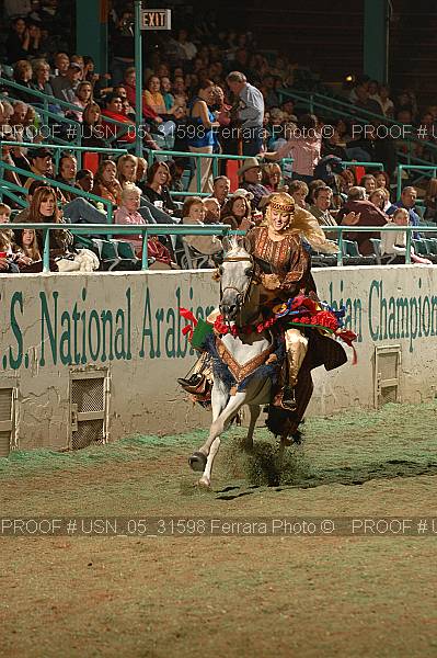 Proof Number usn_05_31598