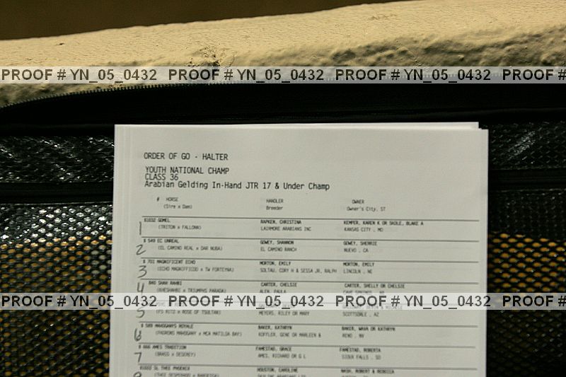 Proof Number yn_05_0432
