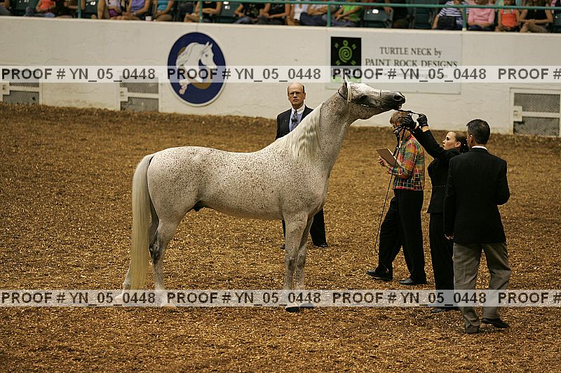 Proof Number yn_05_0448