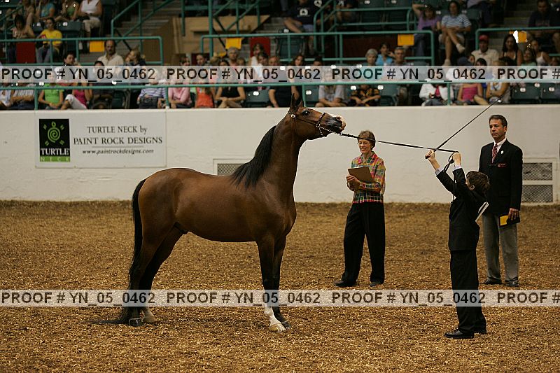 Proof Number yn_05_0462