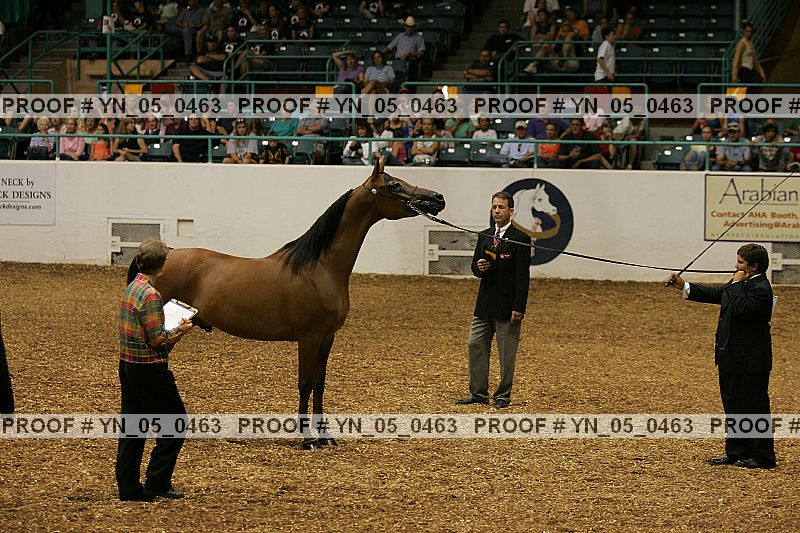 Proof Number yn_05_0463