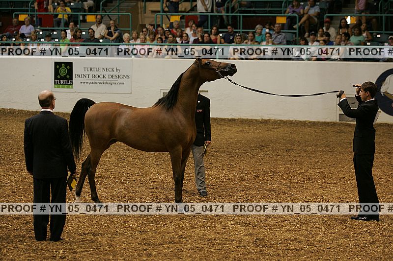Proof Number yn_05_0471