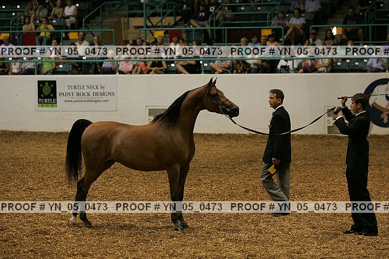 Proof Number yn_05_0473