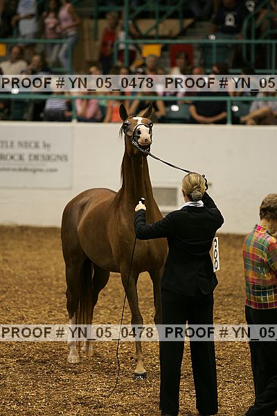 Proof Number yn_05_0478