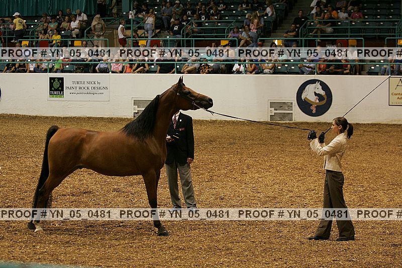 Proof Number yn_05_0481