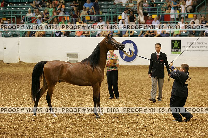 Proof Number yn_05_0483