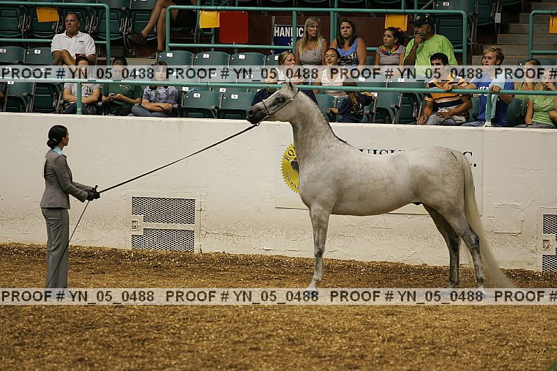 Proof Number yn_05_0488