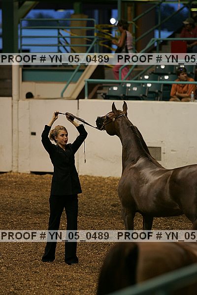 Proof Number yn_05_0489