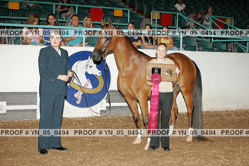 Proof Number yn_05_0494