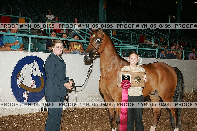 Proof Number yn_05_0495