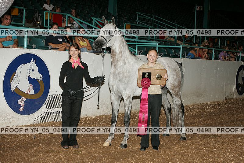 Proof Number yn_05_0498