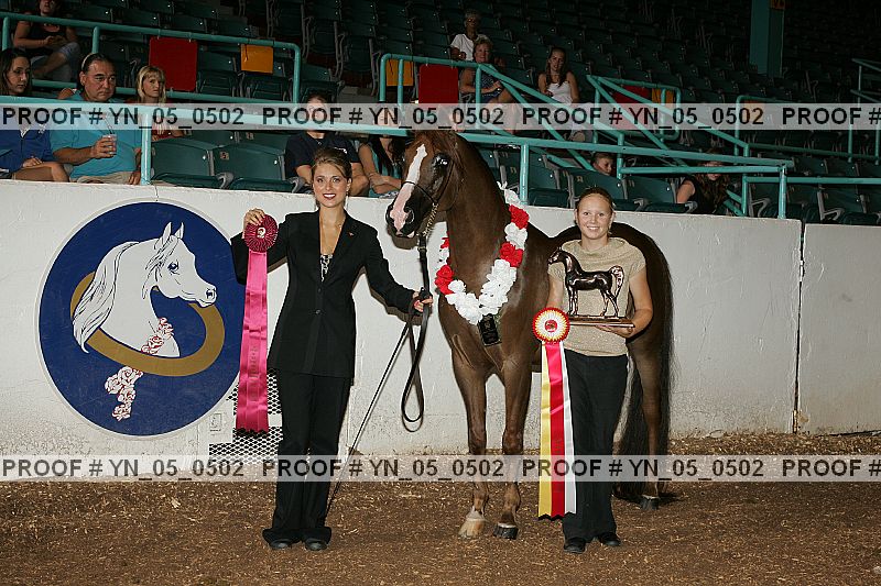 Proof Number yn_05_0502