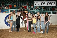 Proof Number yn_05_0503