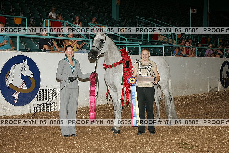 Proof Number yn_05_0505