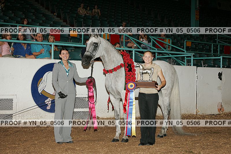 Proof Number yn_05_0506