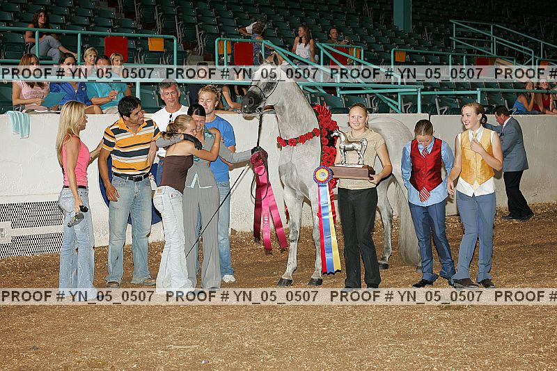 Proof Number yn_05_0507
