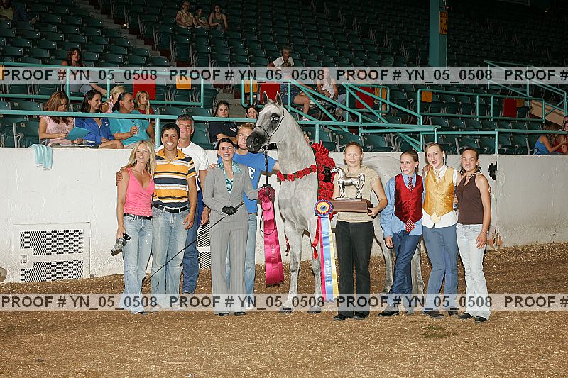 Proof Number yn_05_0508