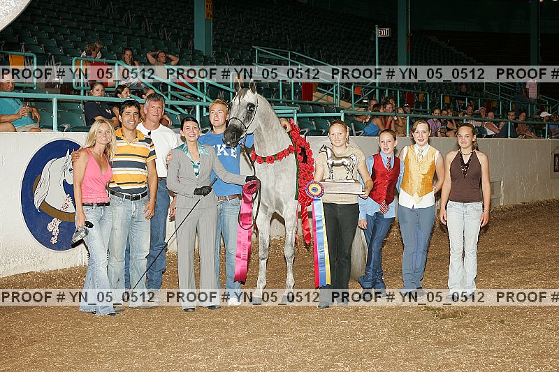 Proof Number yn_05_0512