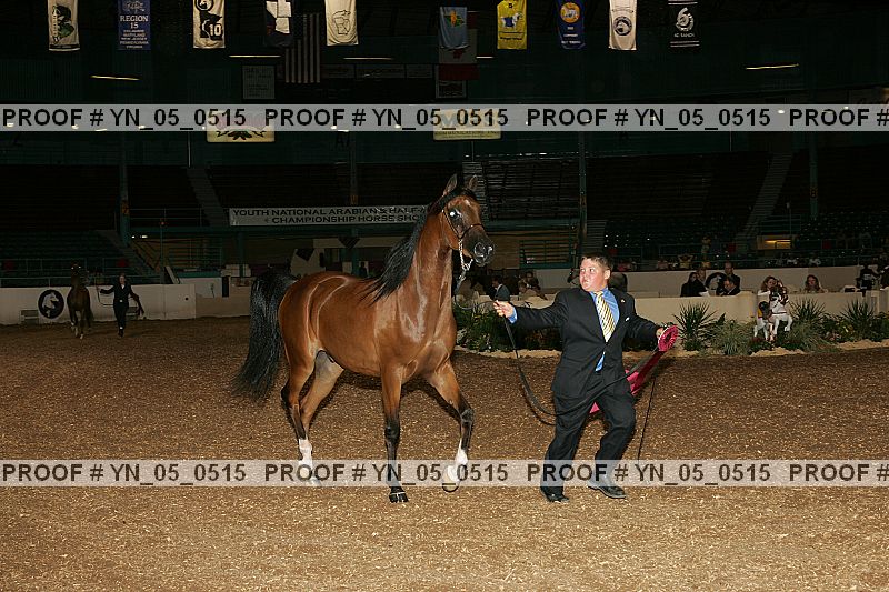 Proof Number yn_05_0515