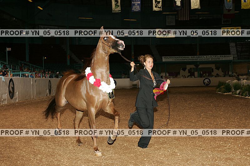 Proof Number yn_05_0518