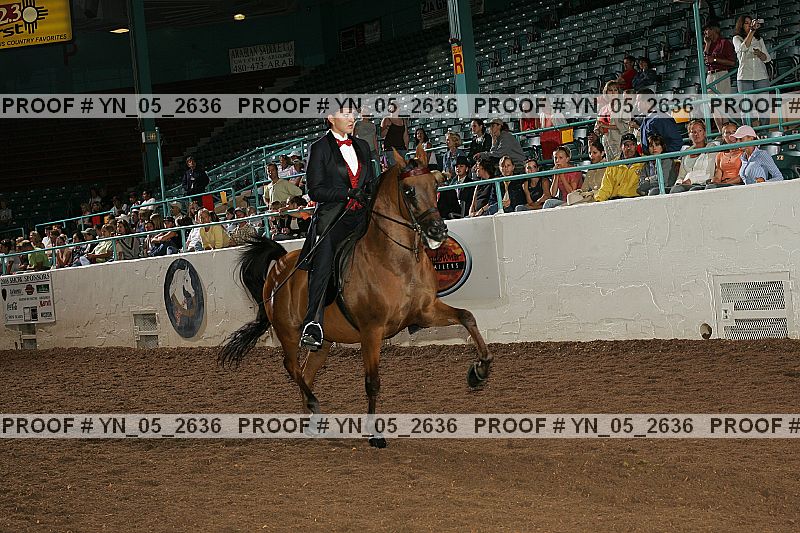 Proof Number yn_05_2636