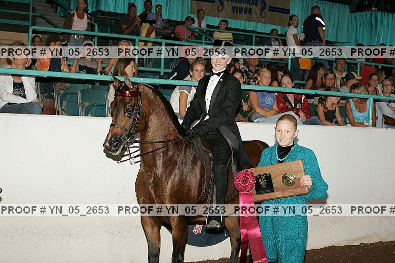Proof Number yn_05_2653
