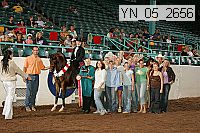 Proof Number yn_05_2656