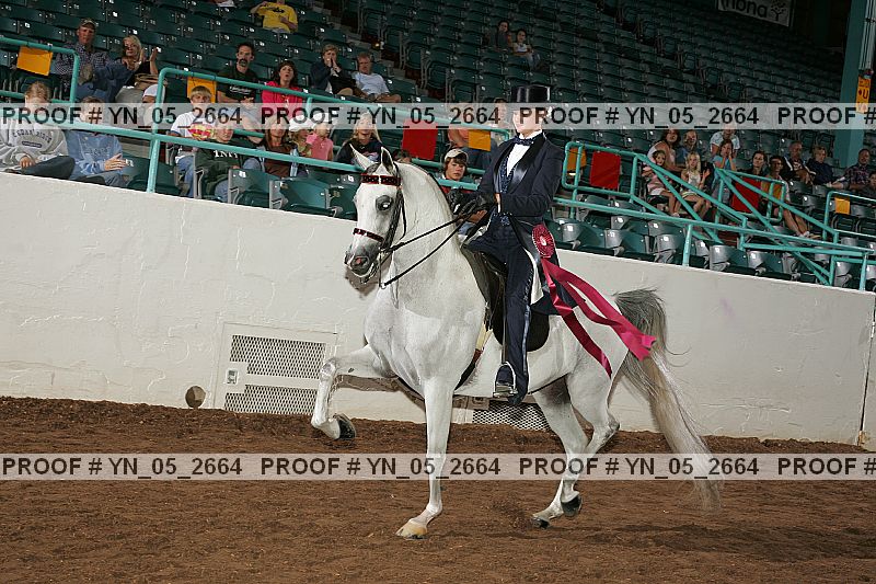 Proof Number yn_05_2664