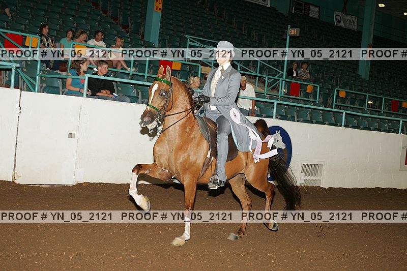 Proof Number yn_05_2121