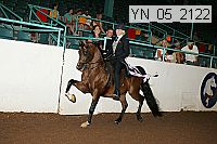 Proof Number yn_05_2122