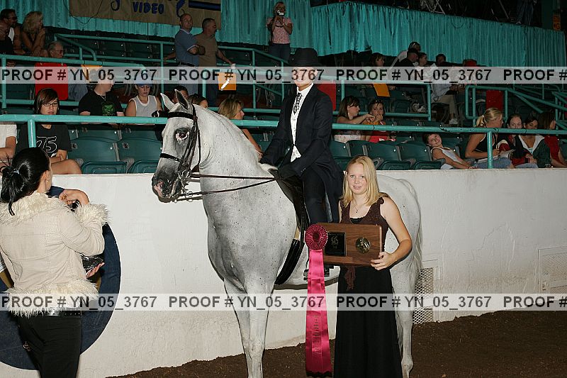 Proof Number yn_05_3767