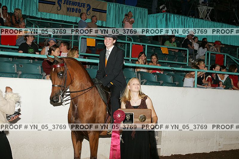 Proof Number yn_05_3769