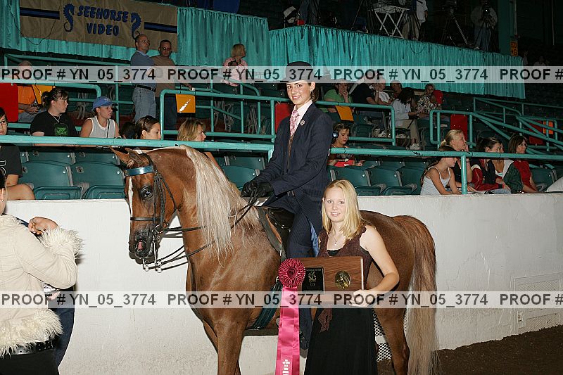 Proof Number yn_05_3774