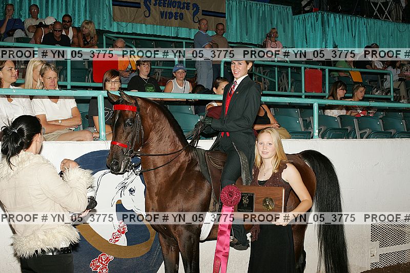 Proof Number yn_05_3775