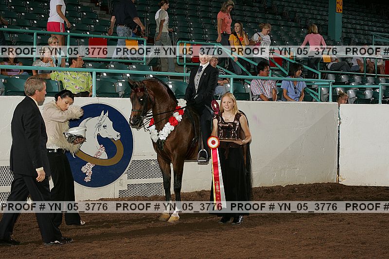 Proof Number yn_05_3776