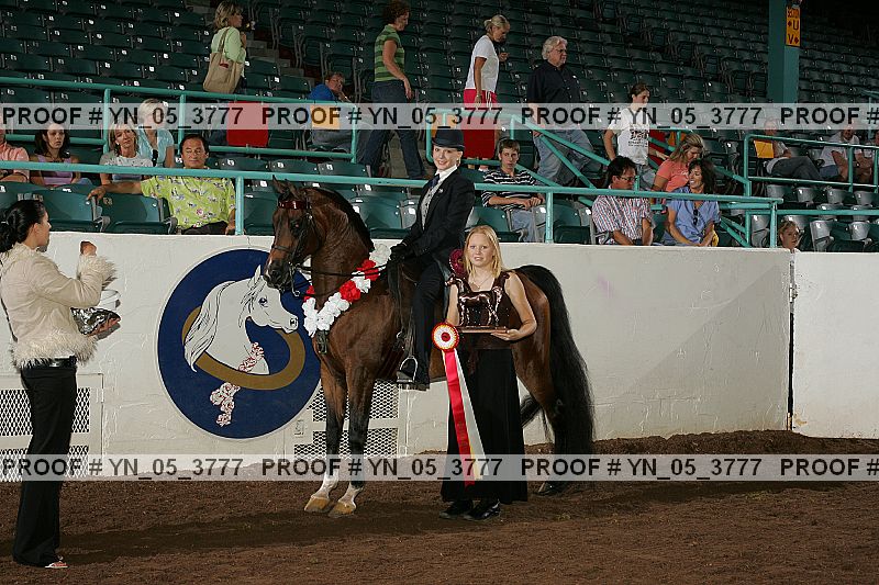 Proof Number yn_05_3777