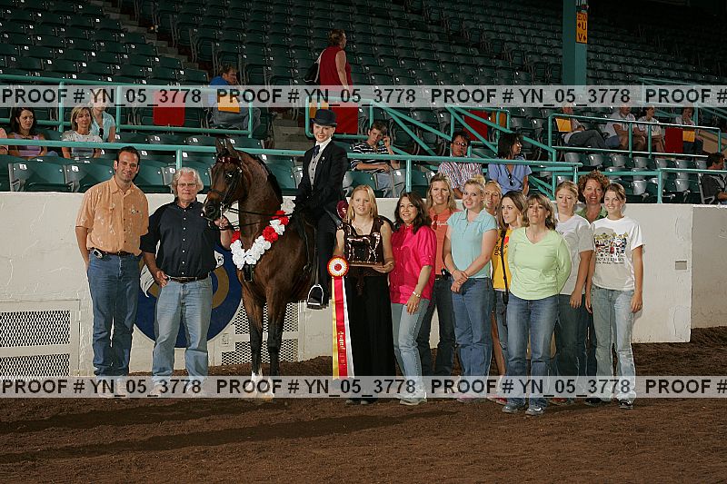Proof Number yn_05_3778