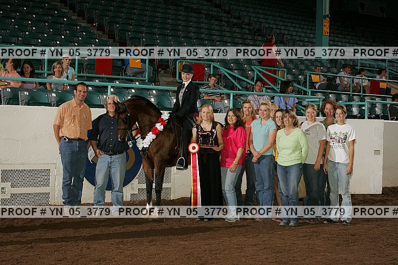 Proof Number yn_05_3779