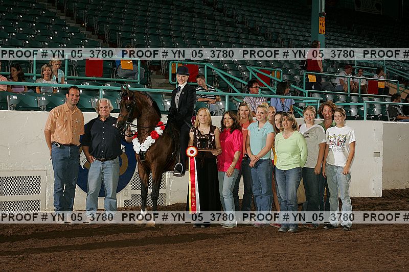 Proof Number yn_05_3780
