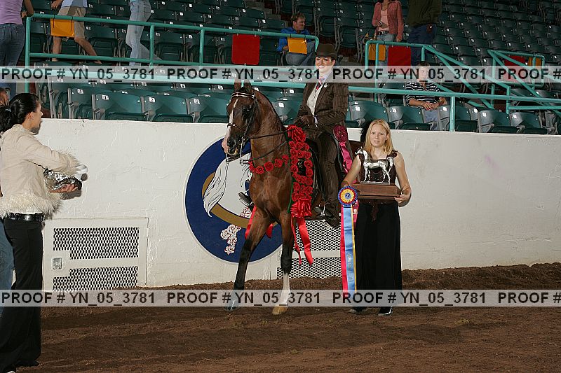 Proof Number yn_05_3781