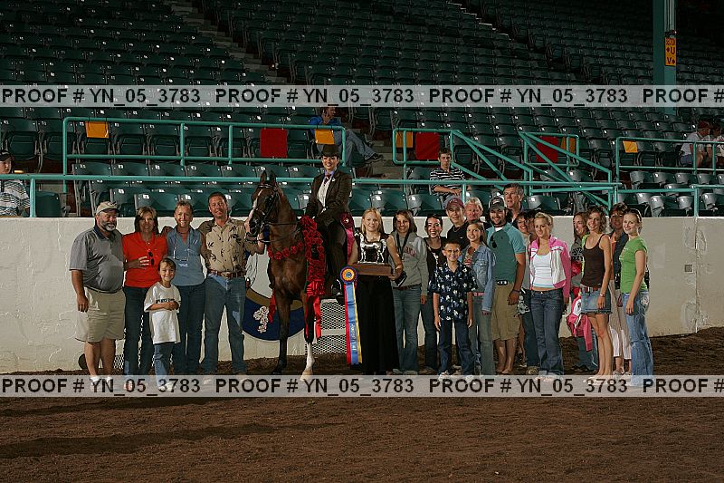 Proof Number yn_05_3783
