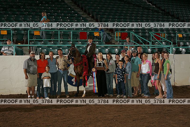 Proof Number yn_05_3784