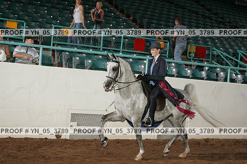 Proof Number yn_05_3789