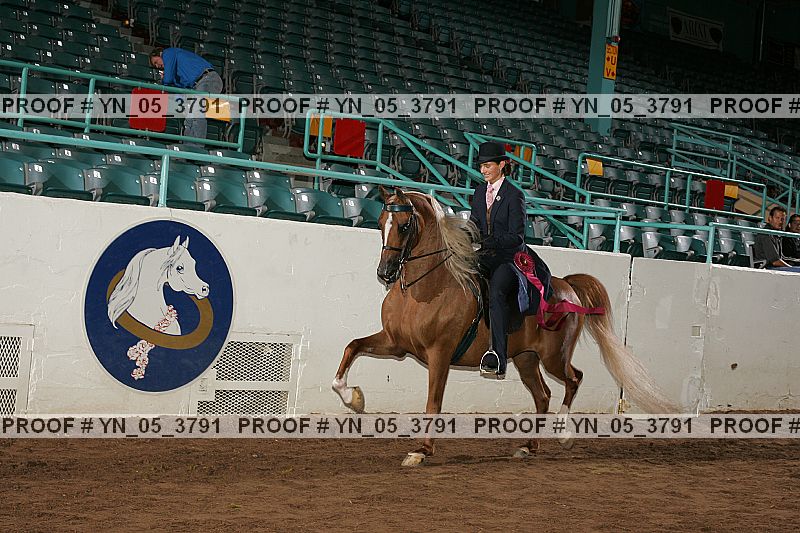 Proof Number yn_05_3791
