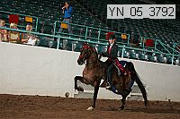 Proof Number yn_05_3792