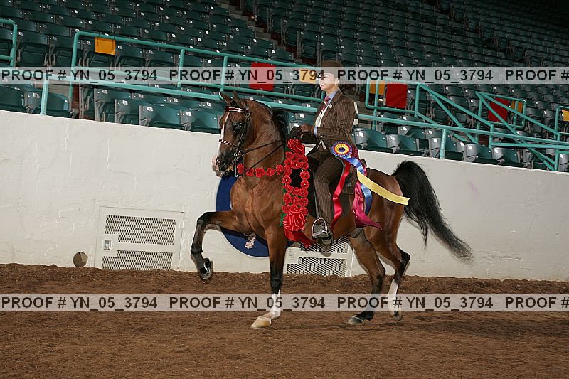 Proof Number yn_05_3794