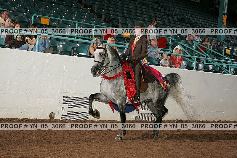Proof Number yn_05_3066